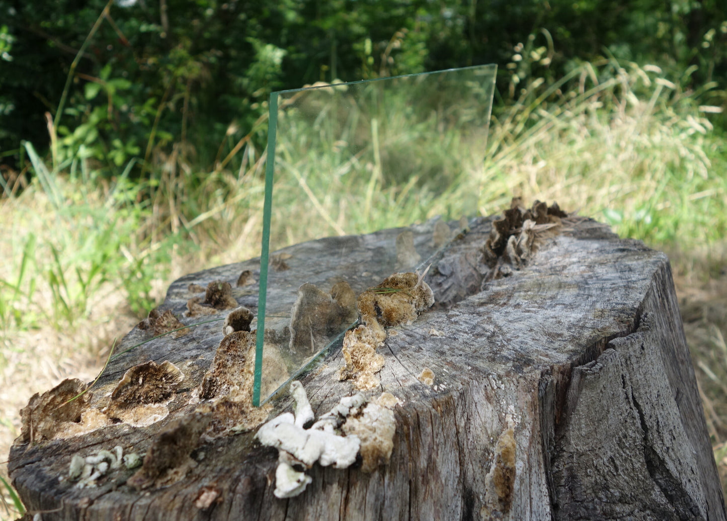 Rising window glass