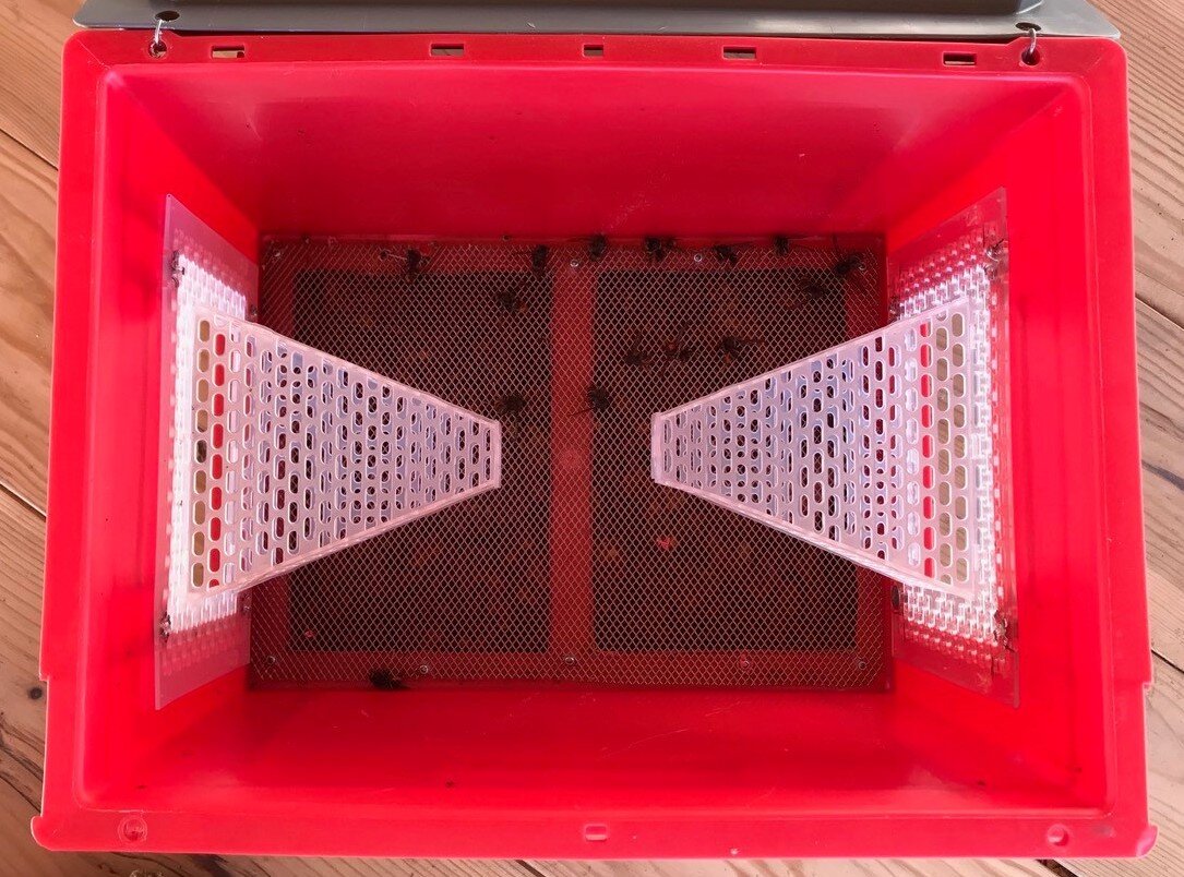 Paire de Module d'Accès Sélectif pour piège frelon asiatique