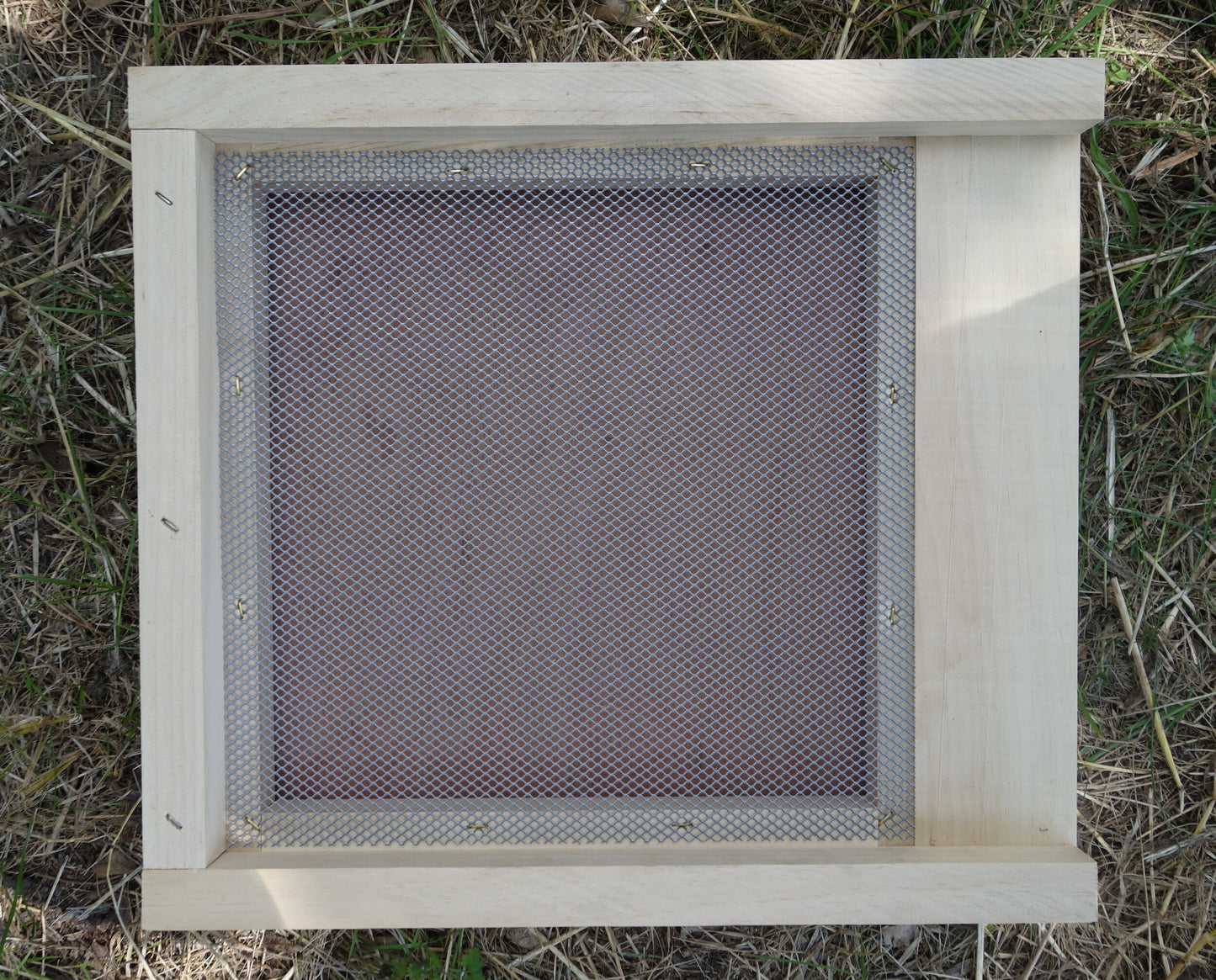Plateau de comptage varroa